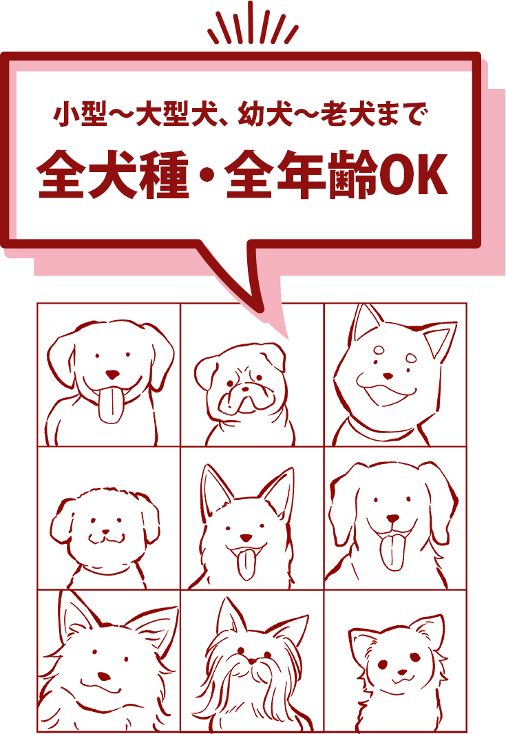 小型から大型犬。幼犬から老犬まで全犬種・全年齢OK