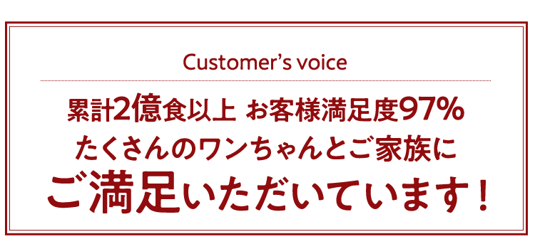 たくさんのワンちゃんとご家族にご満足いただいています！