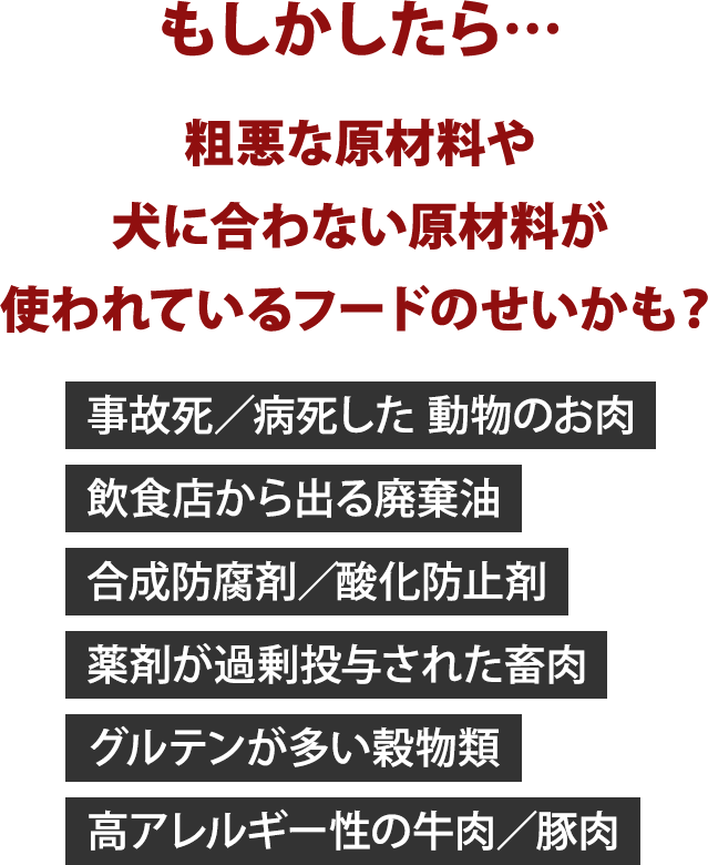 もしかしたら…粗悪な原材料や犬に合わない原材料が使われているフードのせいかも？