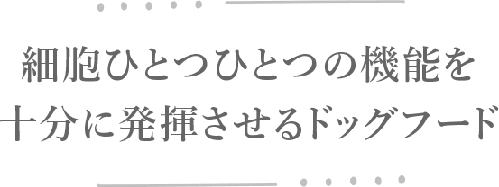 細胞ひとつひとつの機能を十分に発揮させるドッグフード