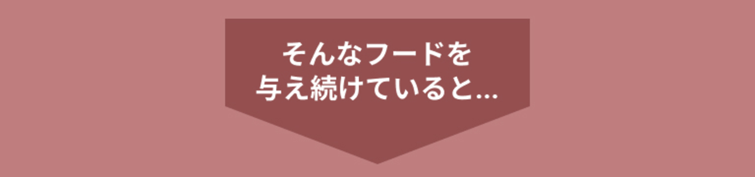 そんなフードを与え続けると