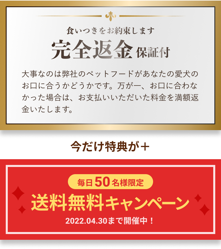 1日の給餌量