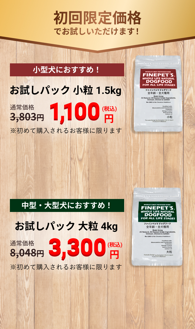 初回のみ超格安