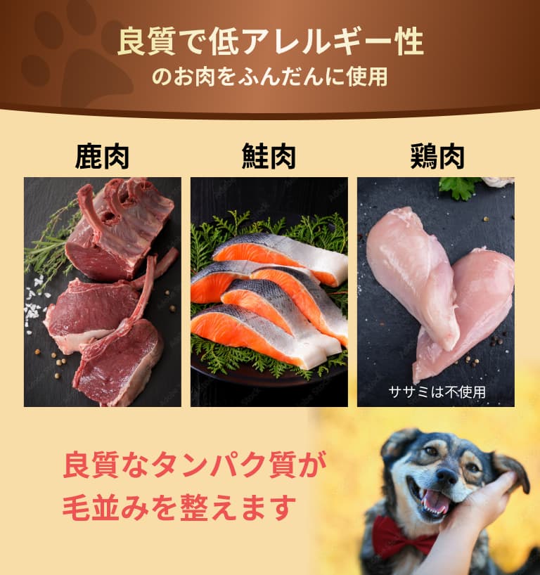 素材