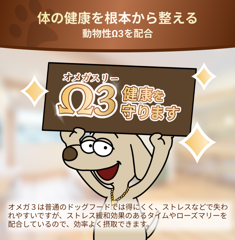 体の健康を根本から整える