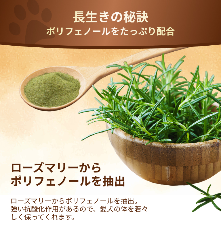長生きの秘訣