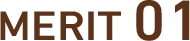 merit01