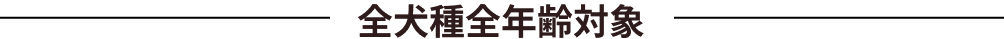 全犬種全年齢対象