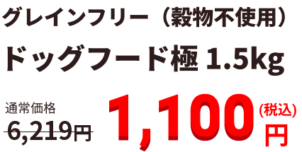 1,100円