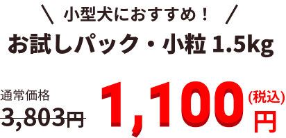 1,100円