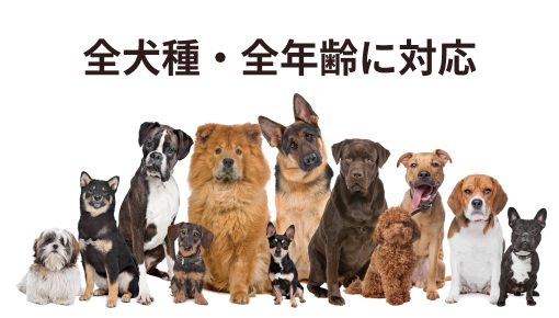 ファインペッツ　FINEPET'S 「極」　全年齢全犬種用　極　1.5キロ