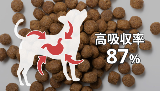 【新品・未開封】FINEPET'SDOG FOOD KIWAMI 極 1.5KG