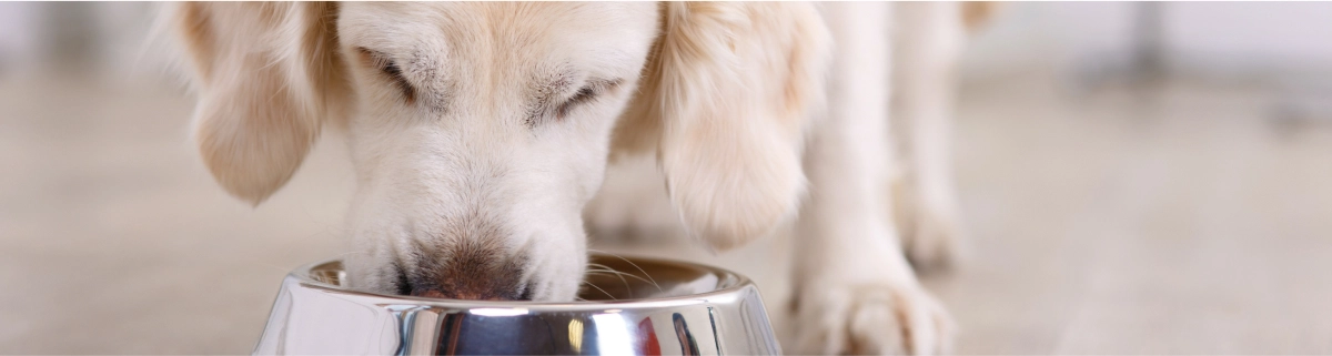 Finepet's Dog Foodのよくあるご質問